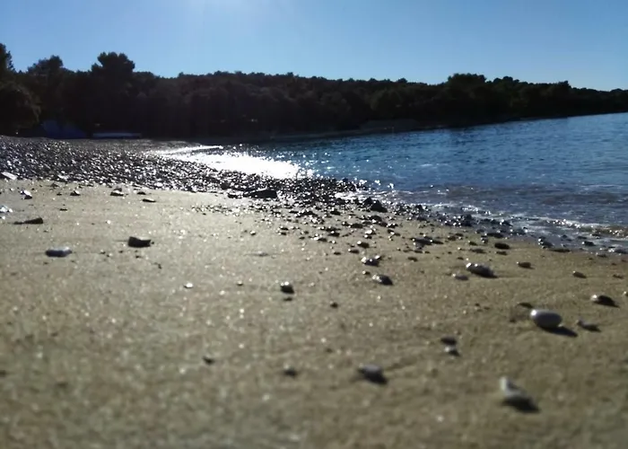 Appartement Tognon *