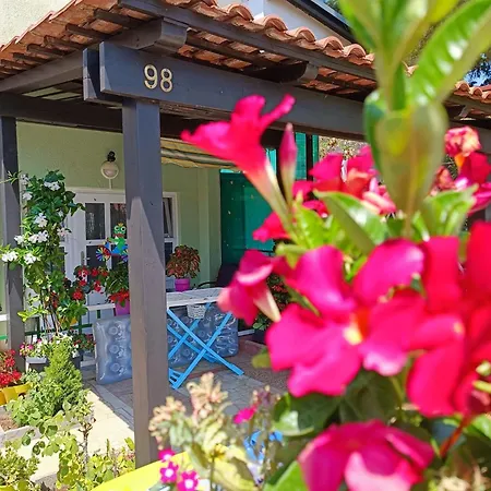 Apartmán Tognon